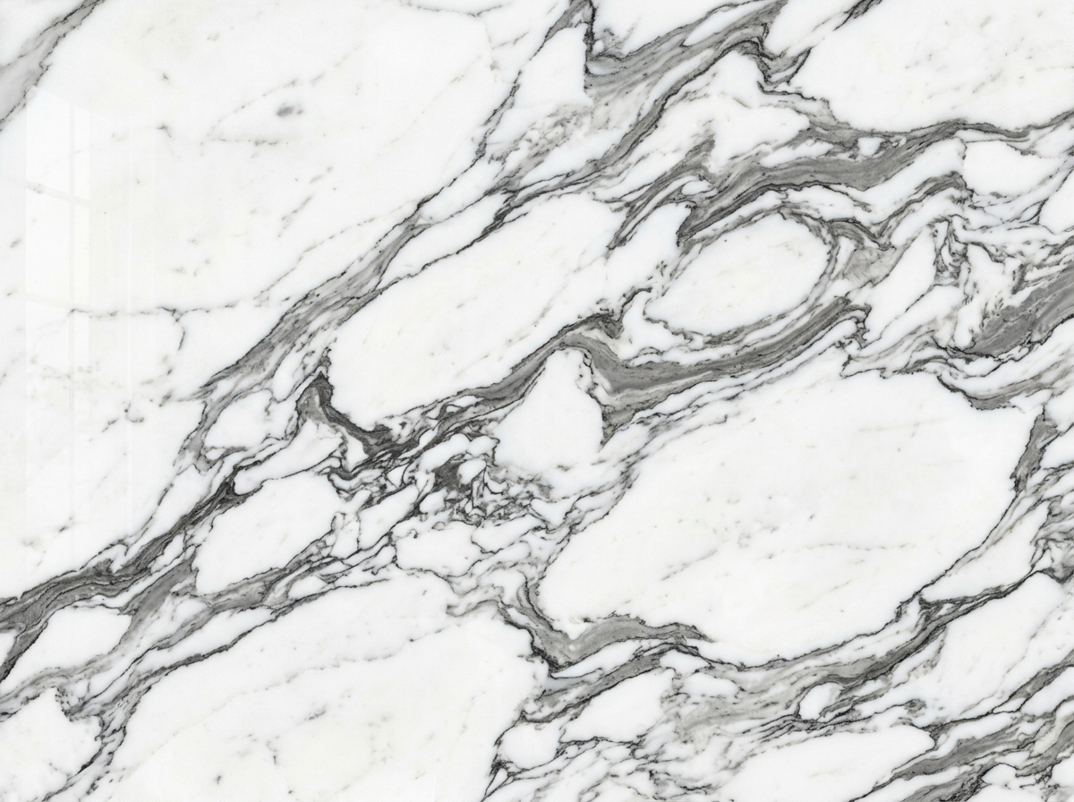 Arabescato White Designer Tile
